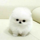 云起