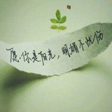 无尾熊