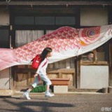 虎皮猫大人