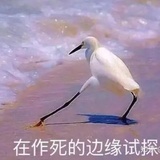 溪汐曦