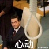 旅人赞鸽
