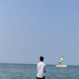淡年华