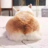 呦呦鹿鸣YML