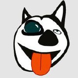 汪我来了