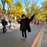 陶陶