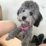 蜗牛