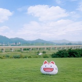 矮油卧渠