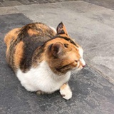 ☞小白