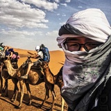 一条鱼该如何飞