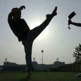 庸人i