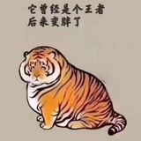 泽宇