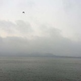 刀锋读书