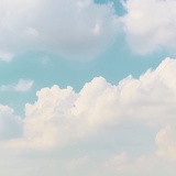 野荨