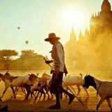 生活是一首战歌