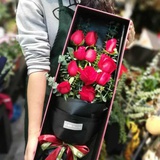 poppywei