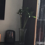 小潘