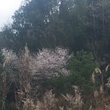 沙之书