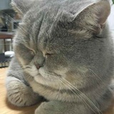丽汀