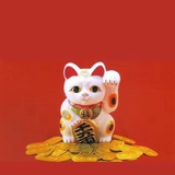一颗红豆
