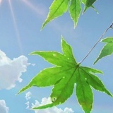 活在当下