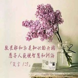 上帝从不掷色子