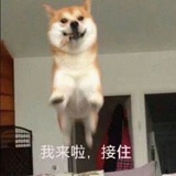 嘿嘿