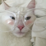 haha