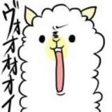 肉兔兔兔兔