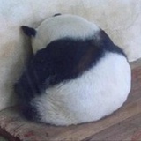 国宝
