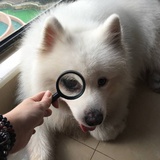 天凉好个秋