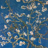 Hong Jyun Cyun