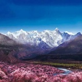 阿南