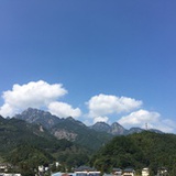 白茶