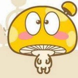 孤独的麻雀
