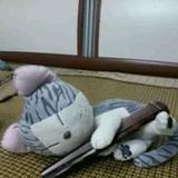 阳光
