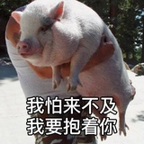 霍森布鲁斯老爷
