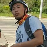 智