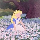 怯.