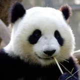 江上风清