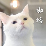 一心