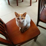 當年路，心凉人