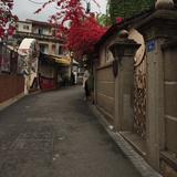 秋水无912