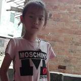凤