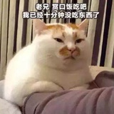 kkkk