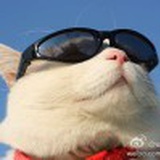 呜噜噜