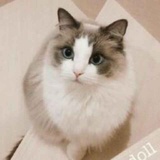 这个“王木木”！