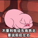 九月菊