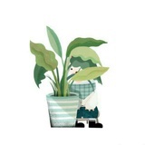 纹