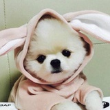 小七