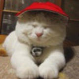 不一样dě相似